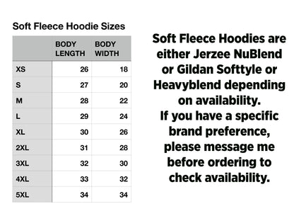 Hoodie Defense of Democracy