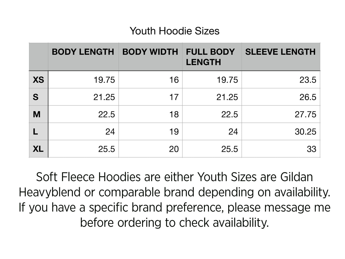 Hoodie Defense of Democracy